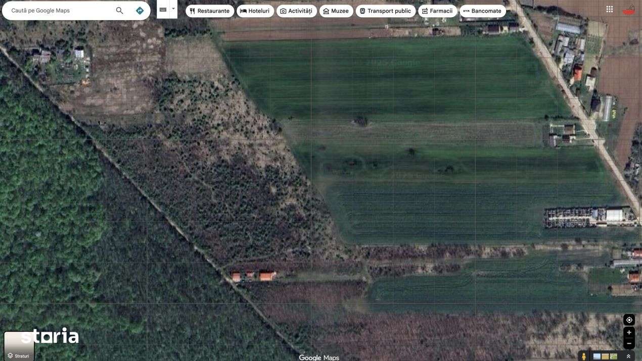 `Teren cu dubla deschidere, langa padure, Snagov - Strada Parcului - Imagine principală: 5/6