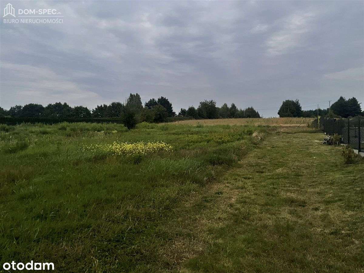 Turzyczka, działka 761 m2, prąd i woda w drodze - Pełny obrazek: 4/4