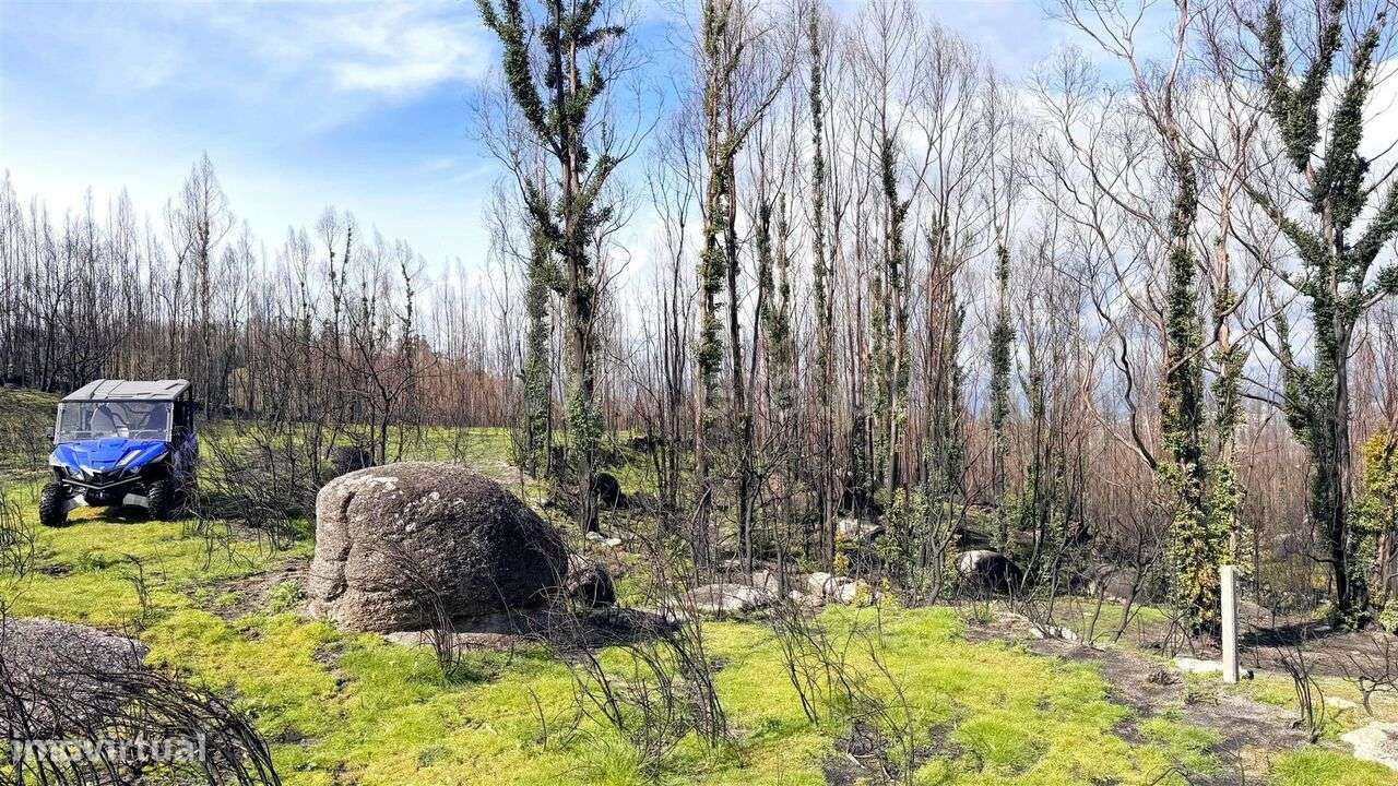 Terreno / Marco de Canaveses, Várzea, Aliviada e Folhada - Grande imagem: 4/6