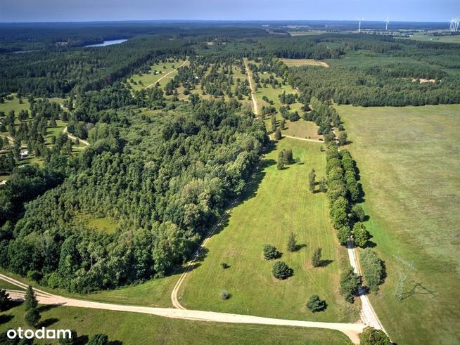 Na sprzedaż piękna działka nad jeziorem Dołgie-9