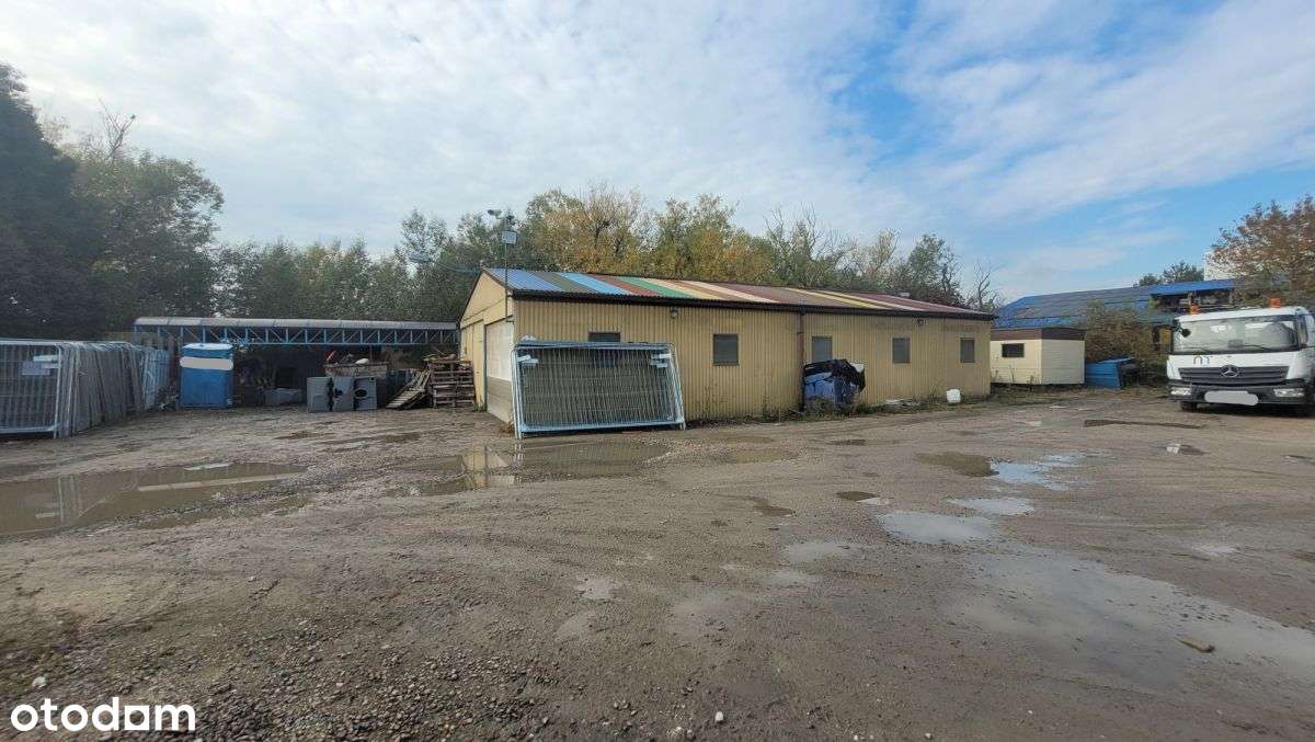 Do wynajęcia hala, biuro, plac utwardzony- Rybitwy - Pełny obrazek: 4/7
