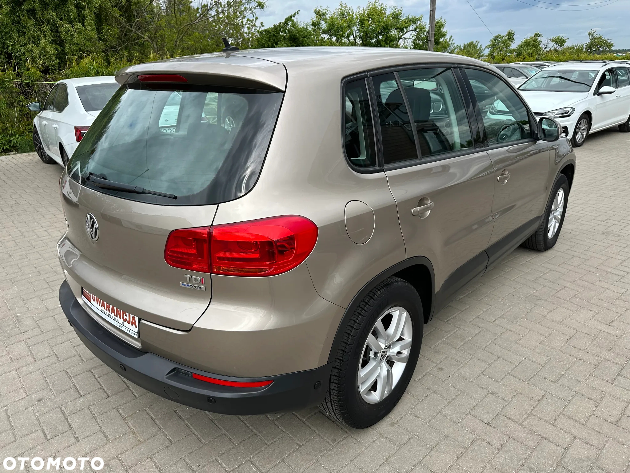 Volkswagen Tiguan - 3