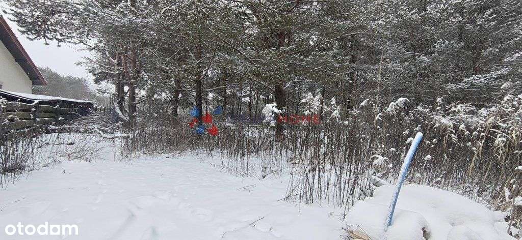 Łoś działka 1118 m2 budowlana, media, las-8