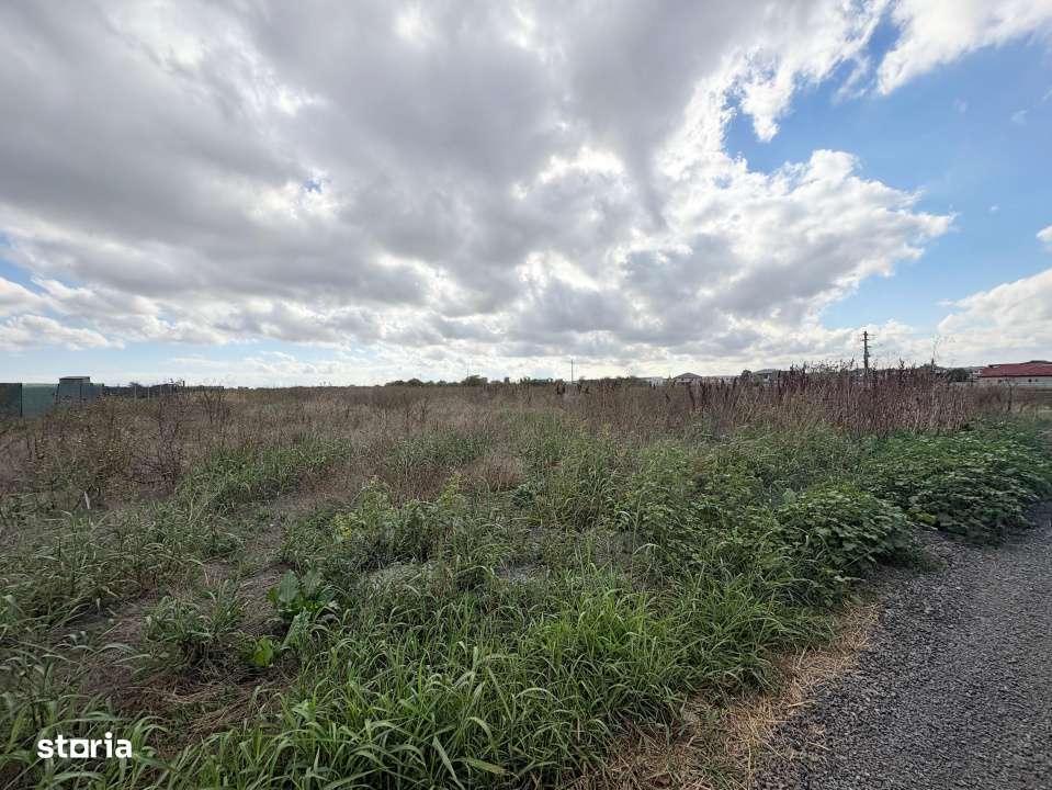 Teren Intravilan, 3334 mp in Valu lui Traian - Imagine principală: 5/8