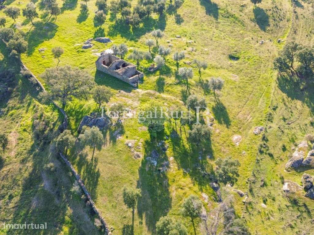 Quintinha com 1,2ha e ruína urbana em São Miguel Acha-18