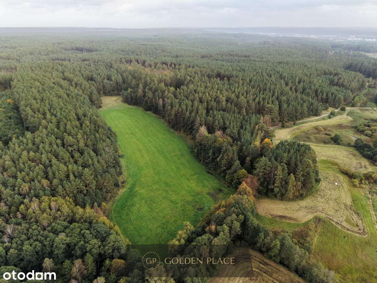 Działka w otoczeniu lasu - Pełny obrazek: 4/13