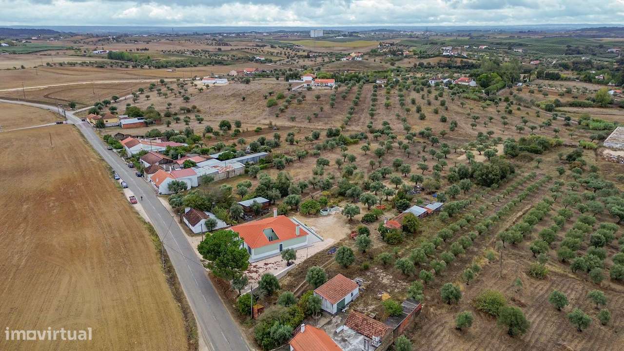 Moradia C/ Terreno Misto de Olival-12