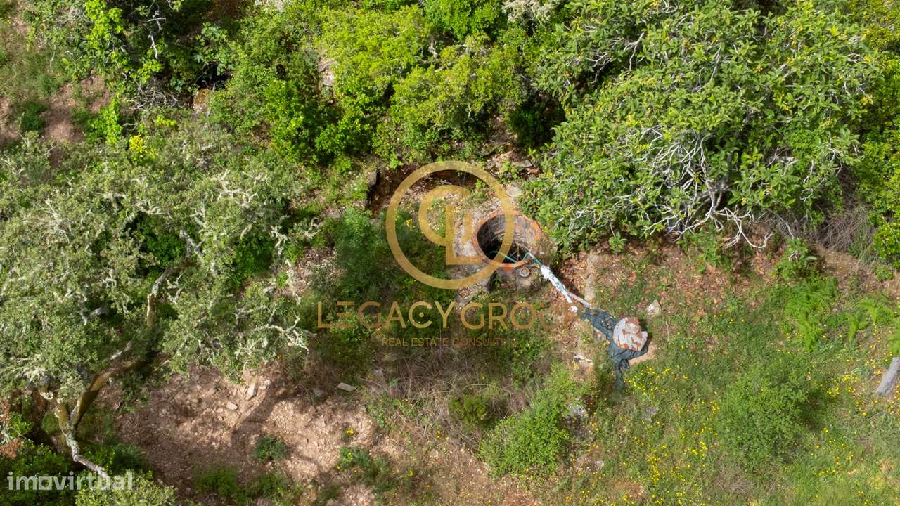 Quinta de 6 hectares perto de São Martinho das Amoreiras-12