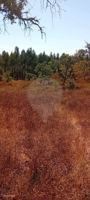 Terreno  para venda - Grande imagem: 1/17