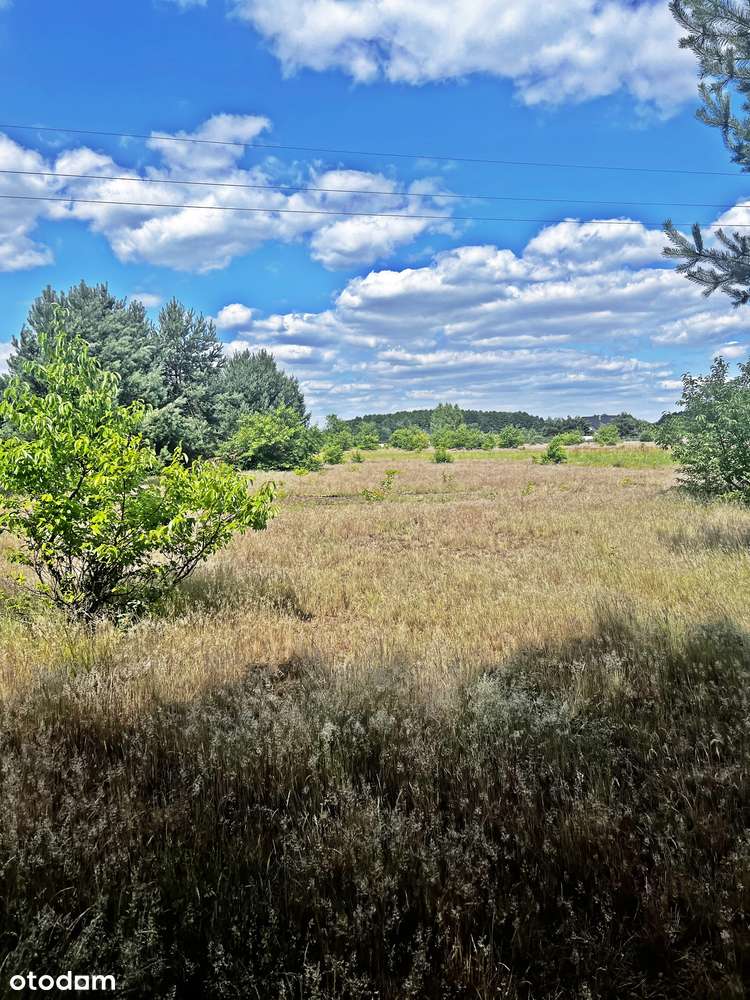 Wyłączność najtańsze działki z WZ w Z.Górze-0