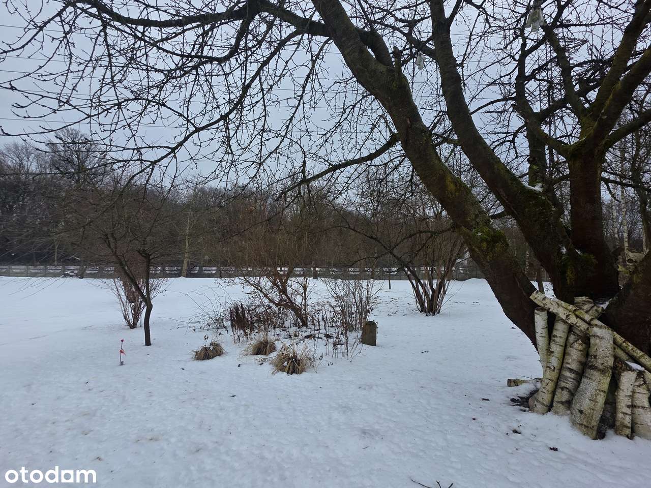 Budowlana działka inwestycyjna/ widok na las/prąd/woda/gaz/kanalizacja-3