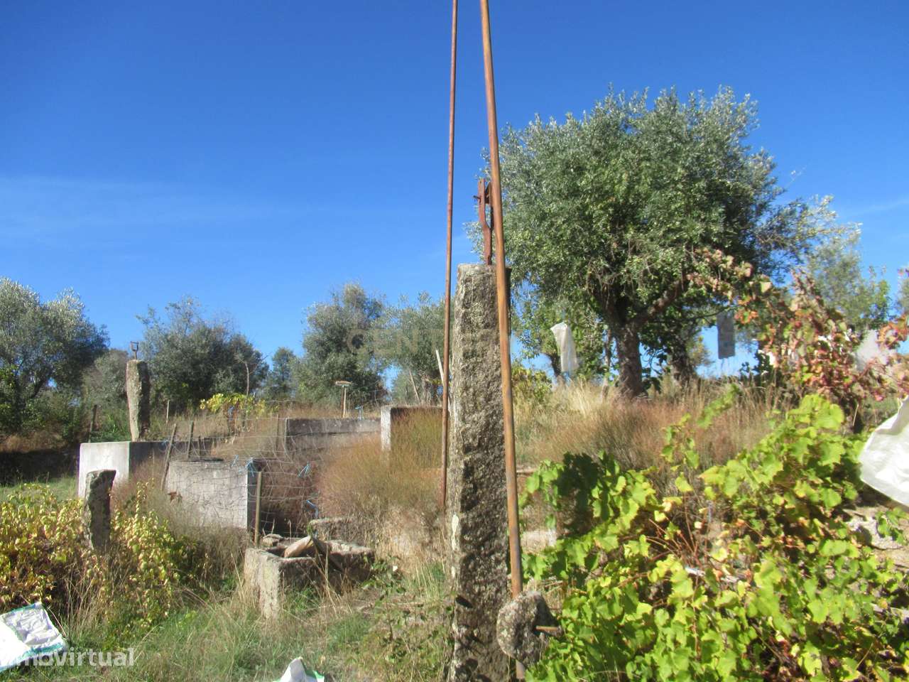 Terreno Rústico | Lousa, Castelo Branco - Grande imagem: 5/17
