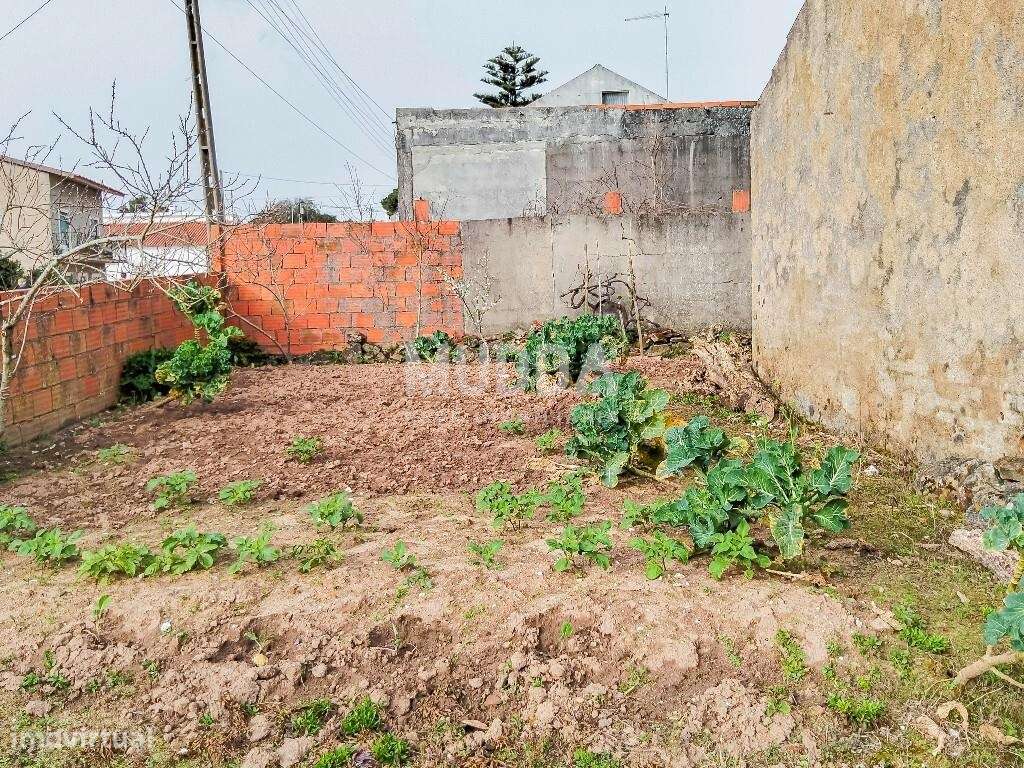 Ruína para recuperar com terreno de 1.050 m2 poço e árvores de fruto A-13