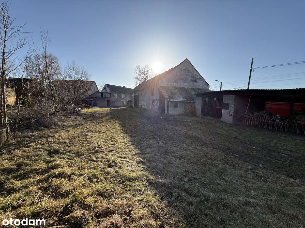 Sosnowa ,Dom wolnostojący + Gospodarstwo-6