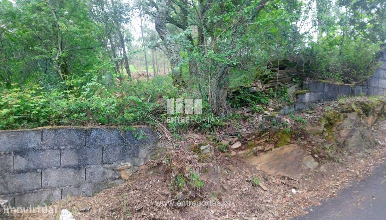 Venda Terreno, vista rio, Rio Mau, Penafiel - Grande imagem: 4/15