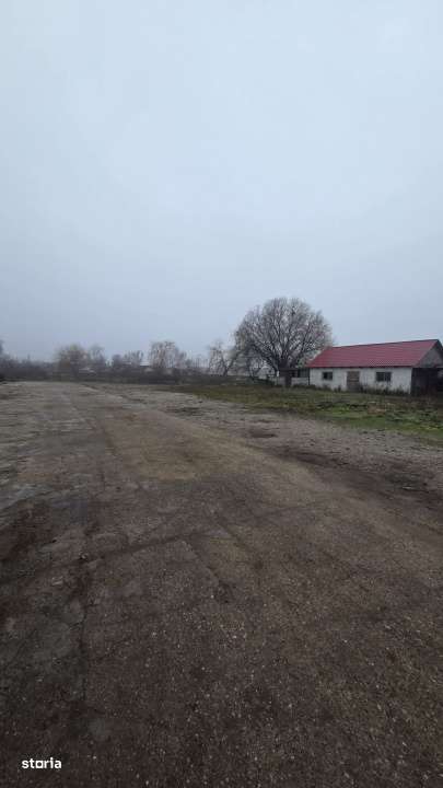 Teren intravilan + spatii comerciale  Odoreu, zona centrala - Imagine principală: 2/8