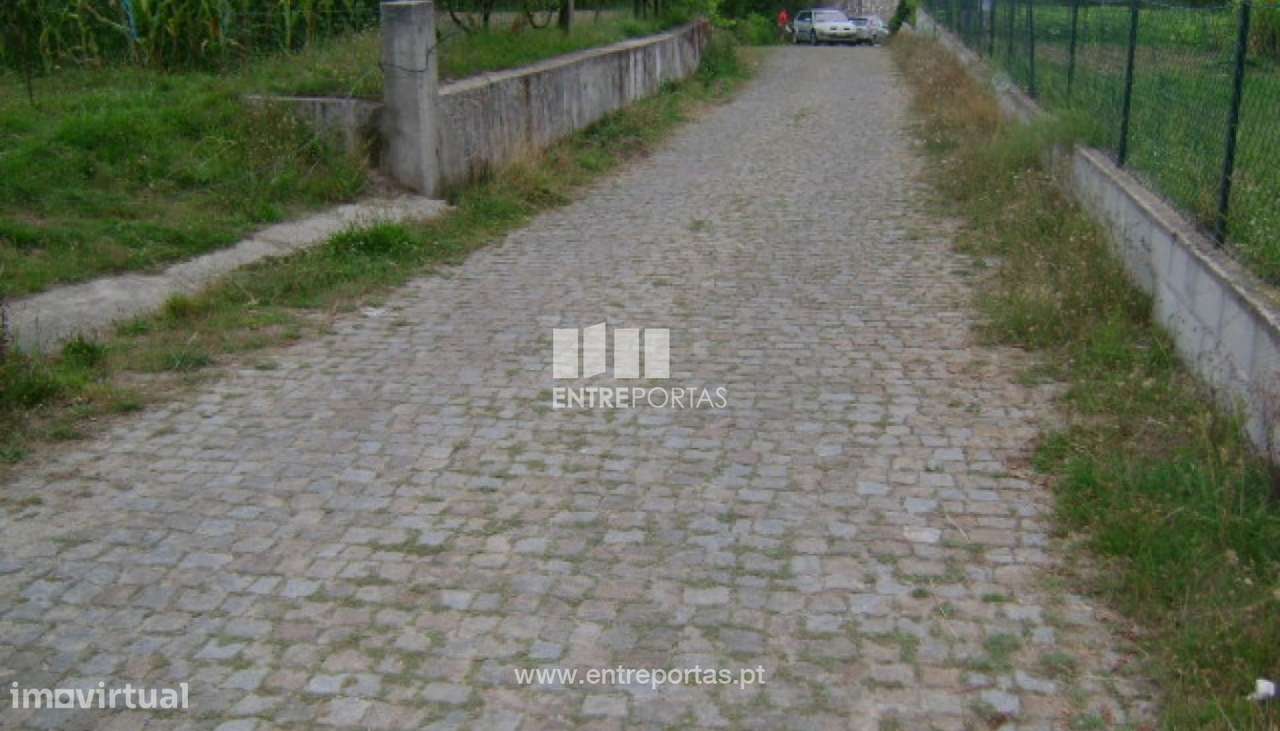 Venda Terreno, Cinfães - Grande imagem: 3/30