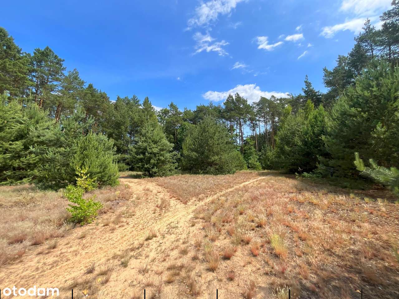 Straszewo - działka budowlana-4