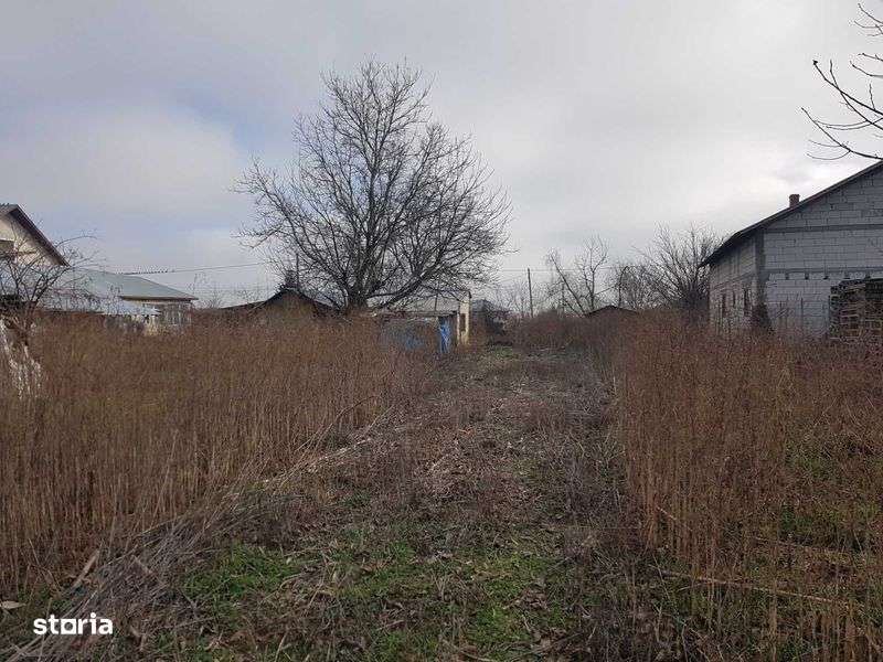 Casa Radovanu , Oltenita - Imagine principală: 4/4