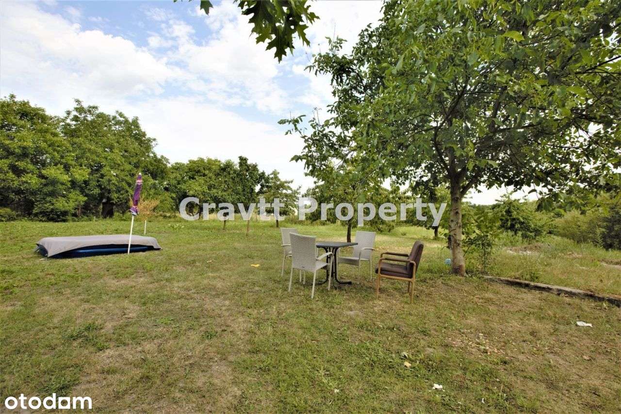 Piękna działka 5000m2 nad Pilicą - Pełny obrazek: 5/13