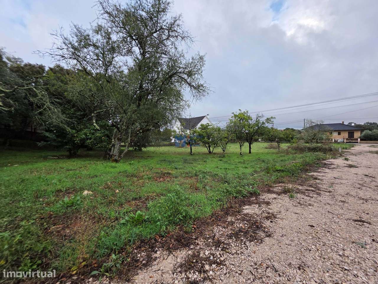Lotes de Terreno para Construção em Fátima-35