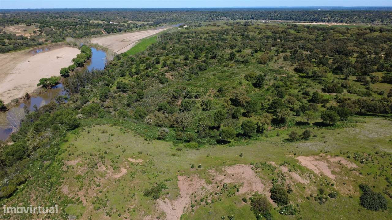 Herdade  Venda em Figueira dos Cavaleiros,Ferreira do Alentejo-13