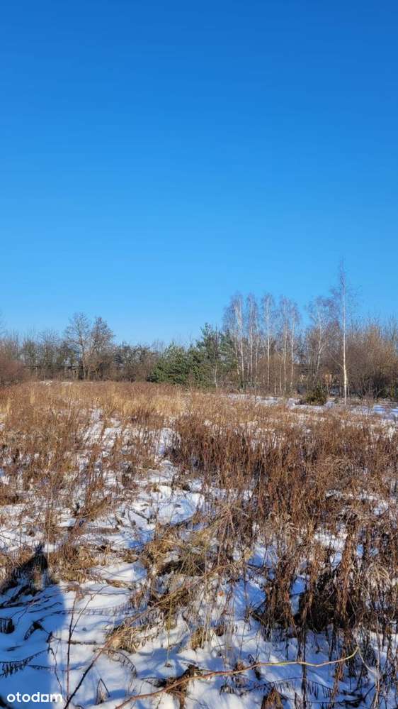 Działka z Mpzp – Łowicz Zielkówka – inwestycyjna-2