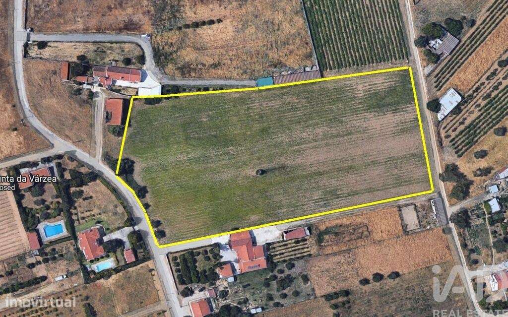 Terreno Agrícola em Quinta do Anjo - Grande imagem: 4/16