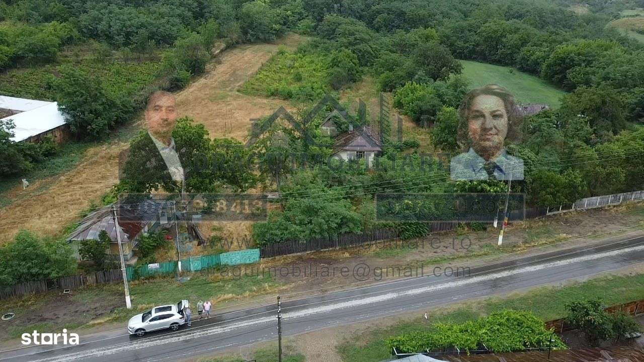 Teren intravilan cu utilități – 3.000 mp / lot – Slobozia Corni, comun - Imagine principală: 5/8