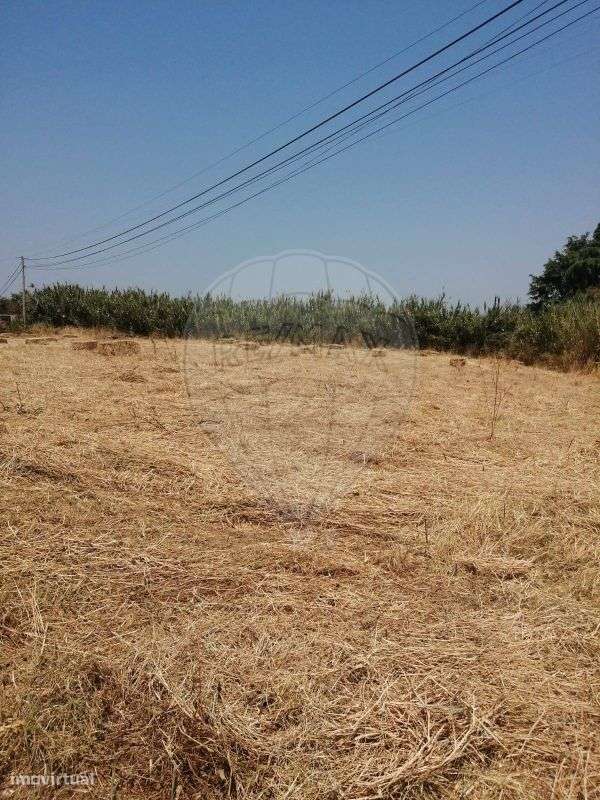 Terreno  para venda - Grande imagem: 5/6