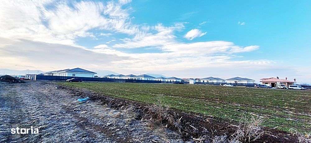 Teren pentru casa generos 1284mp, parcelabil, Brasov spre Harman, 80 e - Imagine principală: 5/10