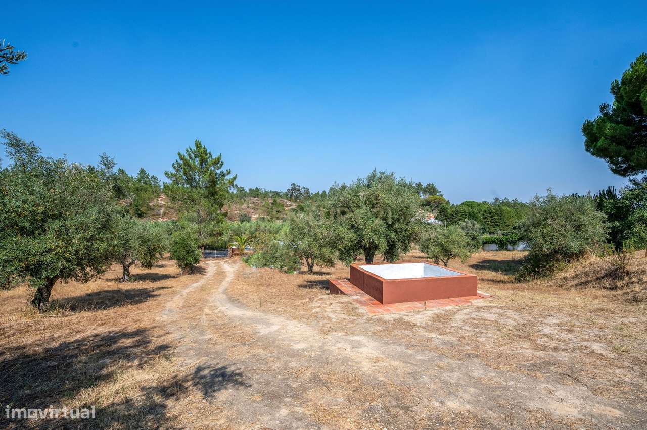 Moradia em Farinha Branca, Montargil-30