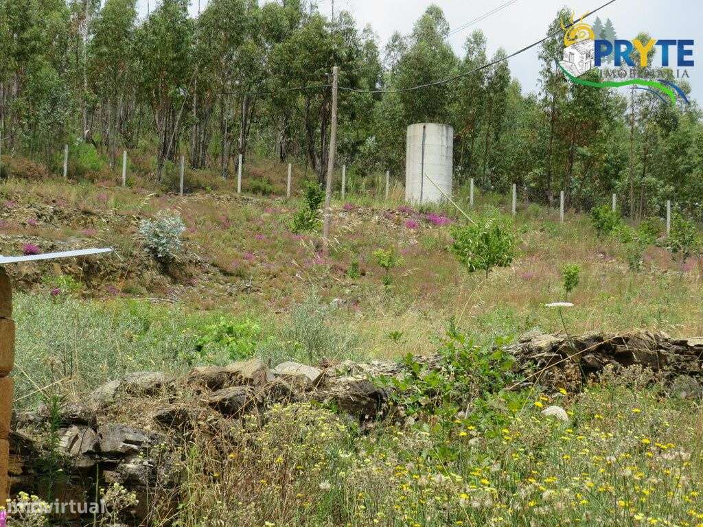 Pequena quinta situada próxima da Vila da Sertã - Grande imagem: 5/29