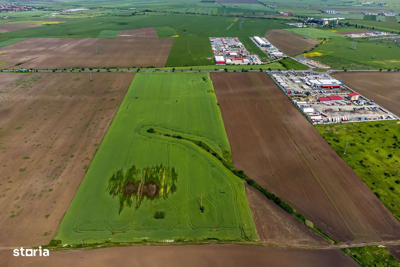 Teren intravilan cu PUZ aprobat la Centura Nord Arad – 7,5€/mp! - Imagine principală: 5/8