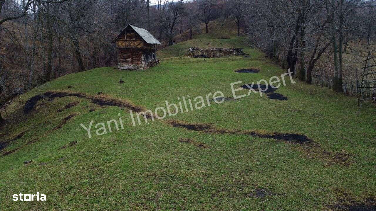 Teren de vânzare în comuna Arefu, județ Argeș ( Transfăgărășan ) - Imagine principală: 4/20