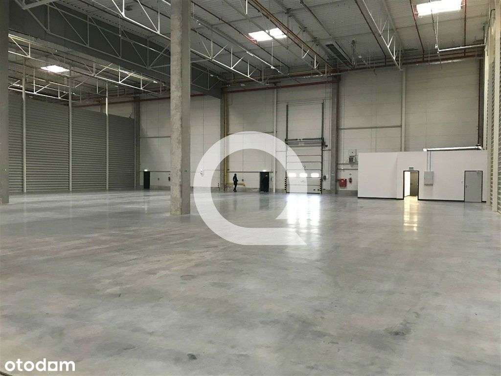 Powierzchnia magazynowa pod cross dock! - Pełny obrazek: 4/6