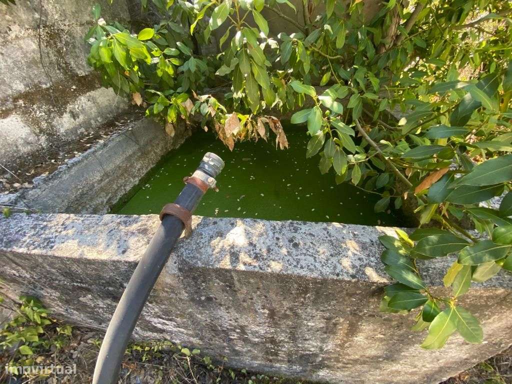 Quintinha - Grande imagem: 3/17