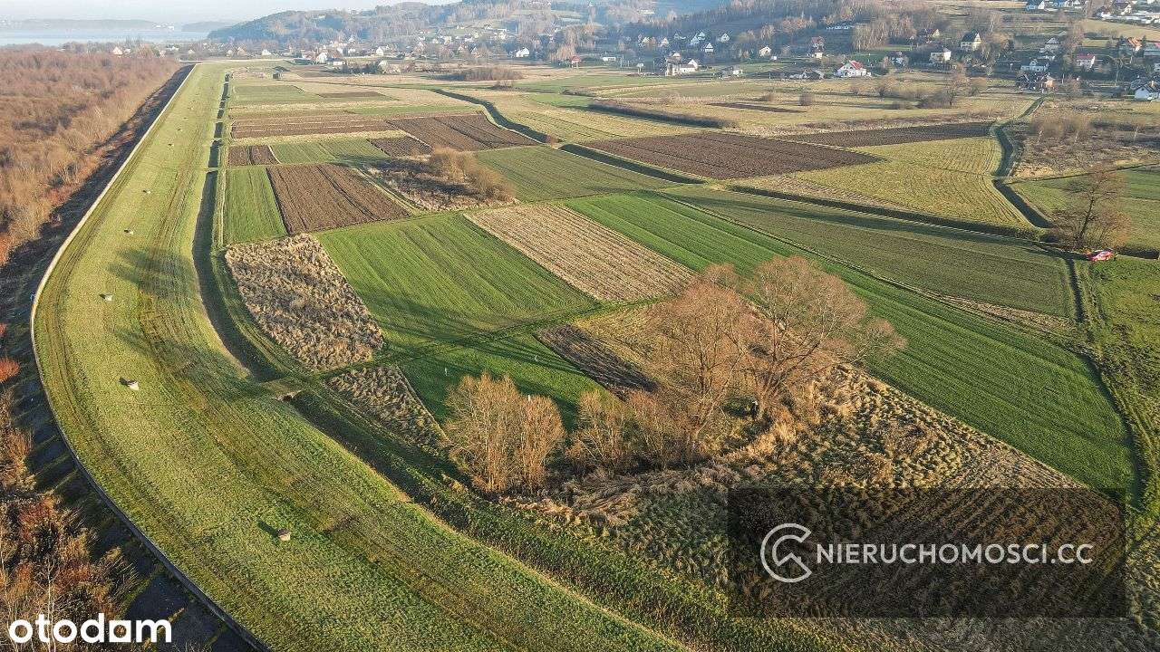 Działka rolna 15 ar OKAZJA ! Osieczany ! - Pełny obrazek: 5/8