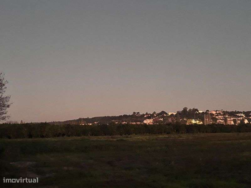 Terreno 10920 m2 Chamusca junto Rio Tejo - Grande imagem: 4/6