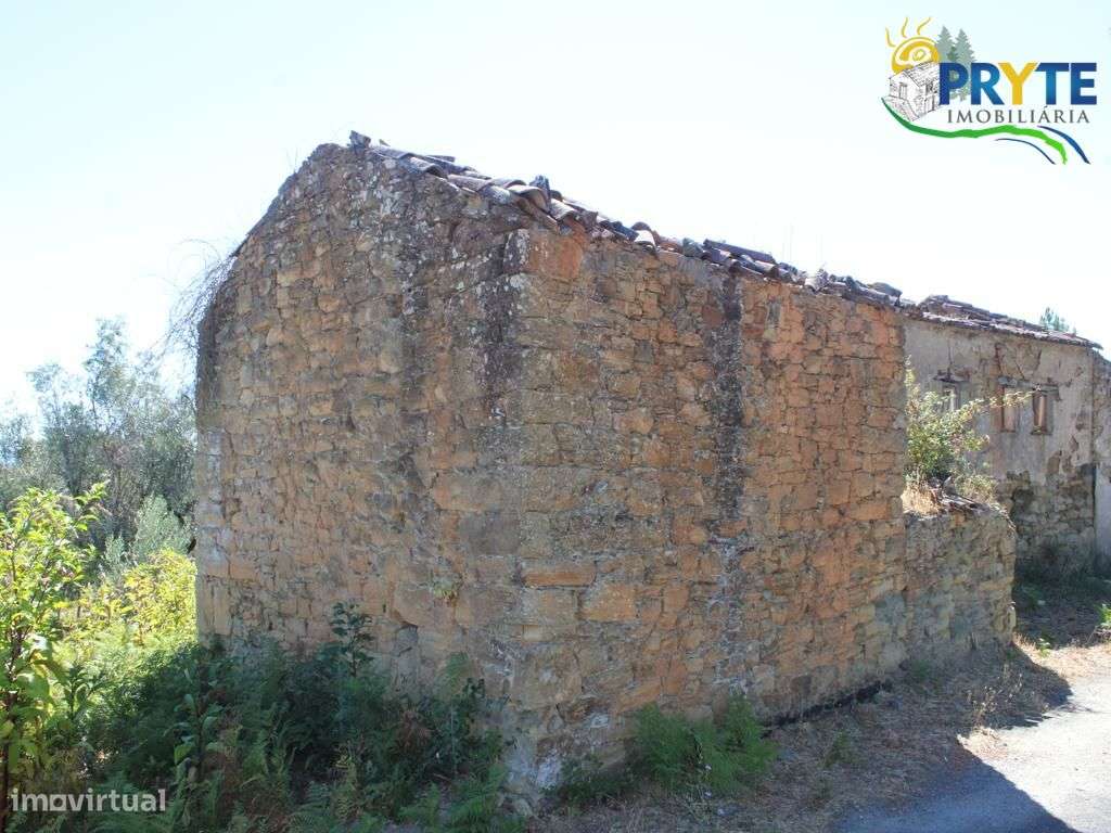 Quintinha rural com casa de habitação a 5 minutos da Sertã - Grande imagem: 5/22