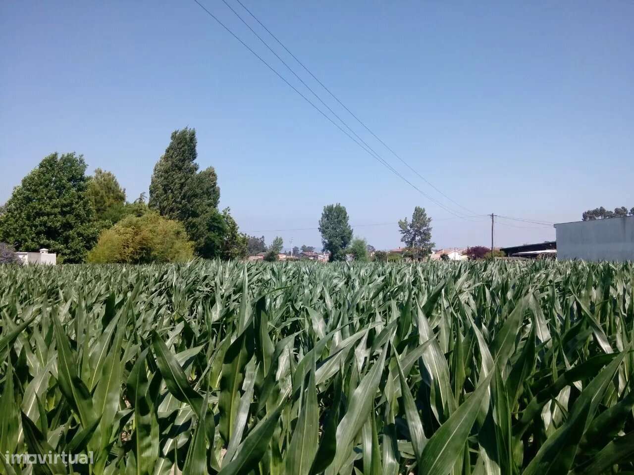 Terreno com viabilidade construtiva em Estarreja - Grande imagem: 4/7