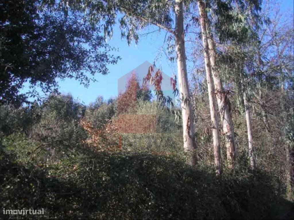 Vende-se Terreno, Moure - Grande imagem: 4/5