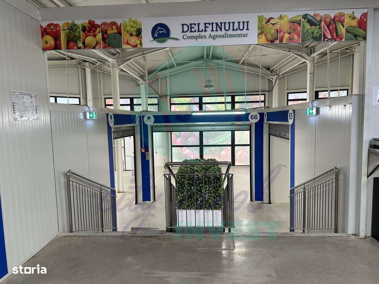 Spatii comerciale de inchiriat in PIATA DELFINULUI - Imagine principală: 4/13