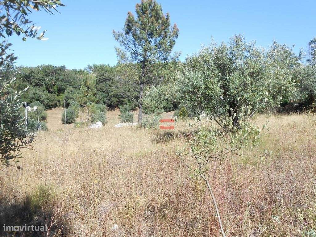 Terreno para construção - Grande imagem: 2/17