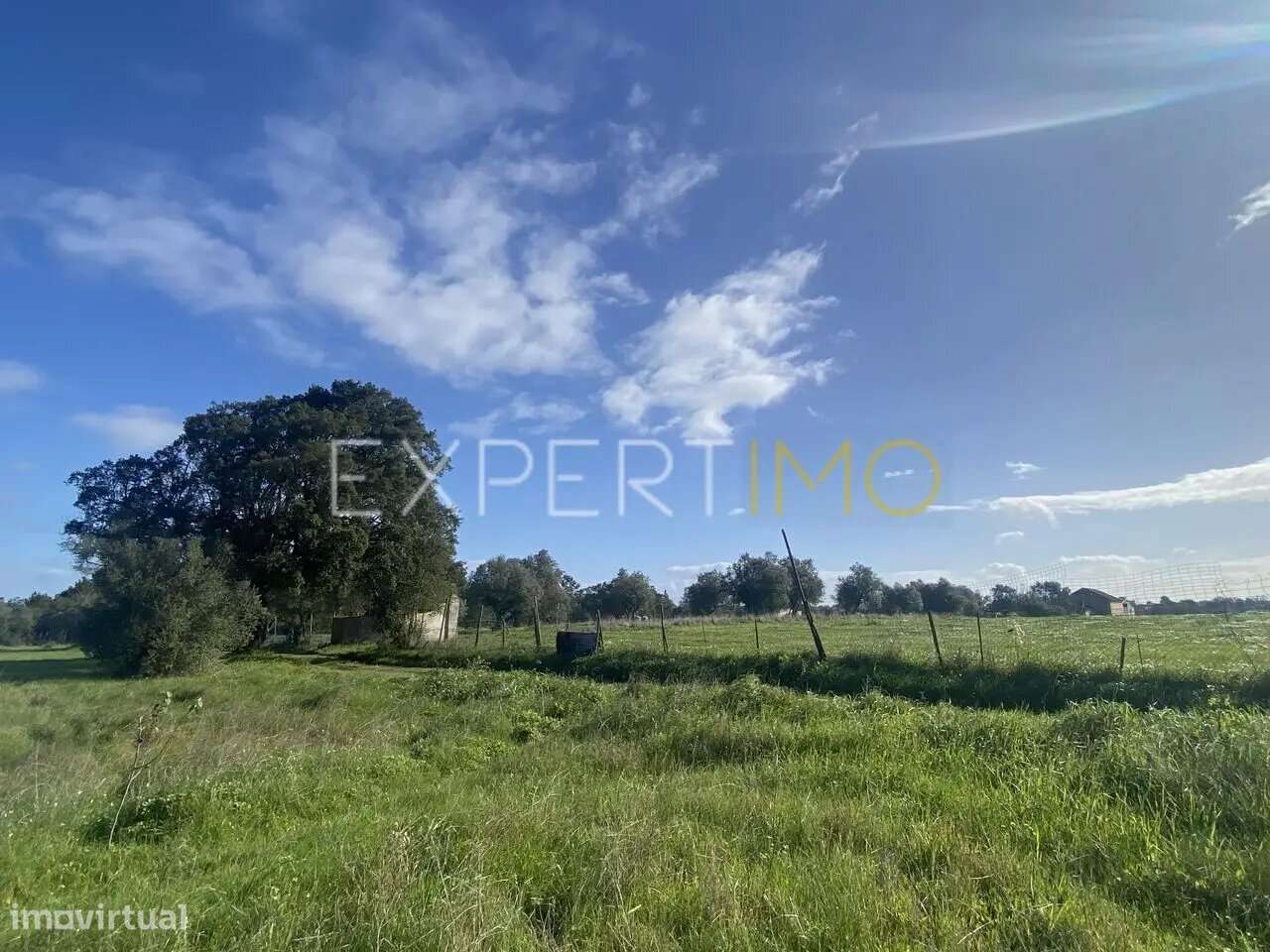 Quinta V3 com casa Vale de Santarém - Grande imagem: 4/21