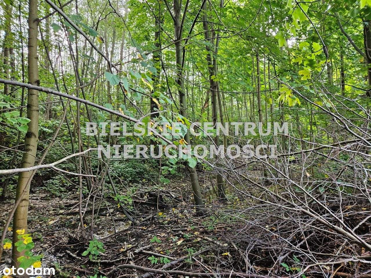 Działka, 13 942 m², Mazańcowice-15