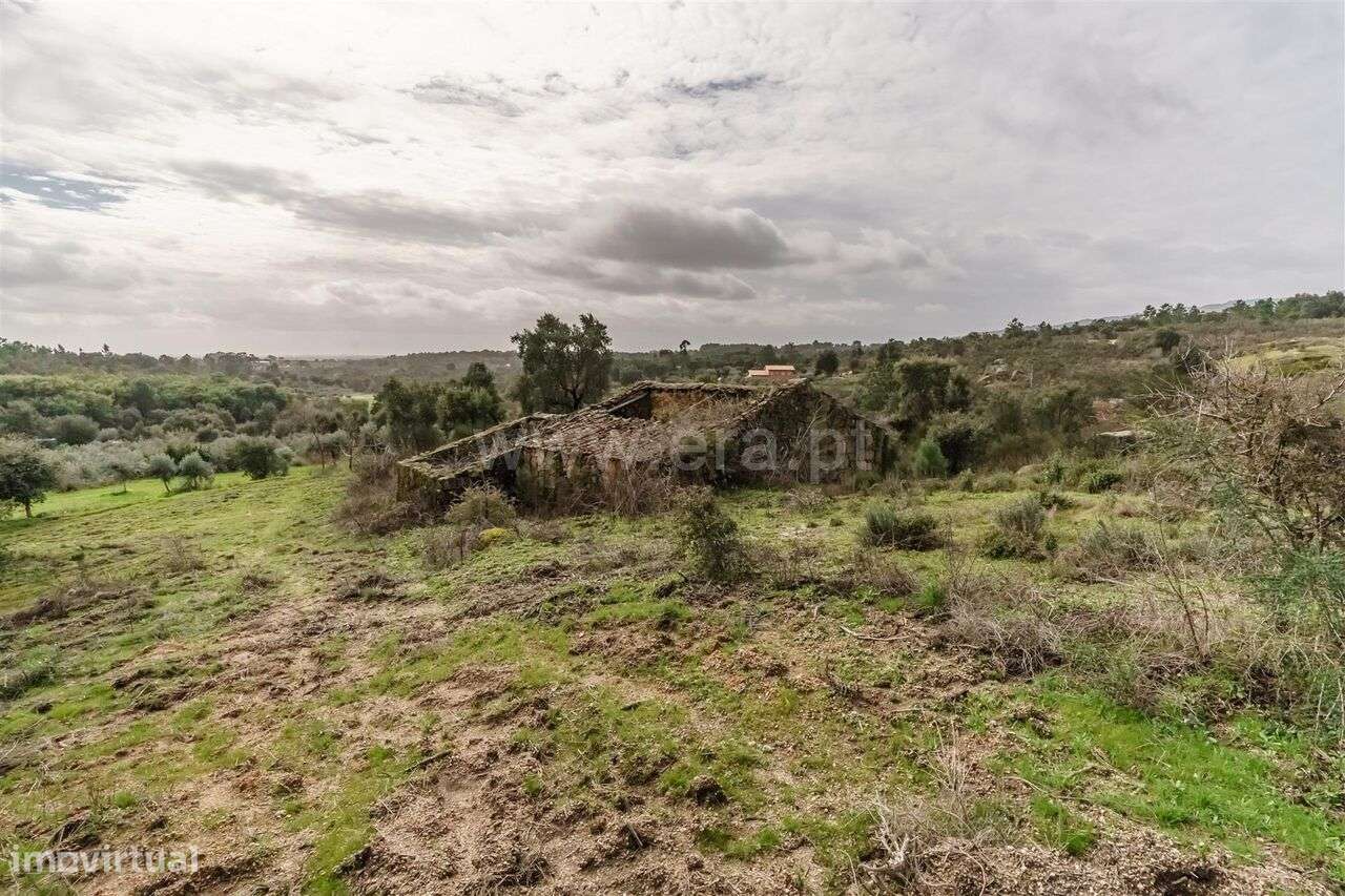 Quinta T1 / Fundão, Vale Prazeres - Grande imagem: 5/16
