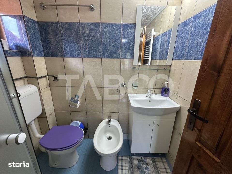 Cabana spatioasa la 5 km de Partia Sureanu complet utilata-13