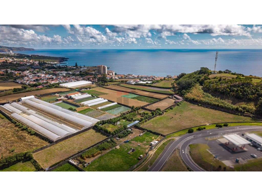 Terreno situado na freguesia de Rosto do Cão - São Roque-14