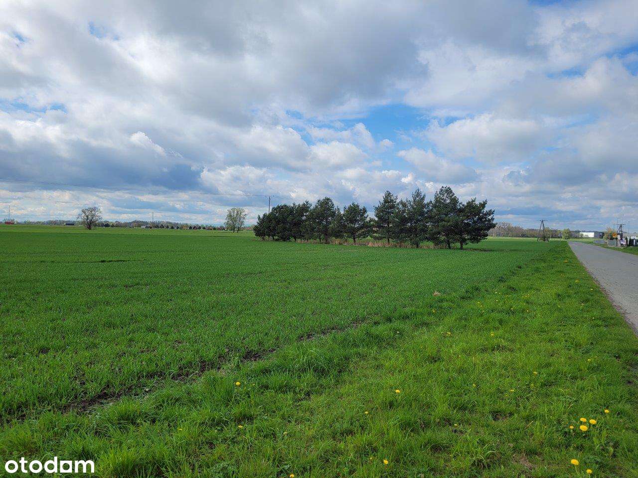 Działka budowlana 1200 m² z dostępem do mediów-10